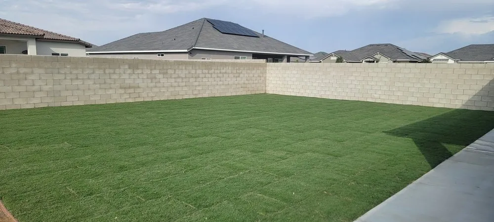 Custom yard cleanup service for residential properties in Bakersfield, CA by Backyard Landscape