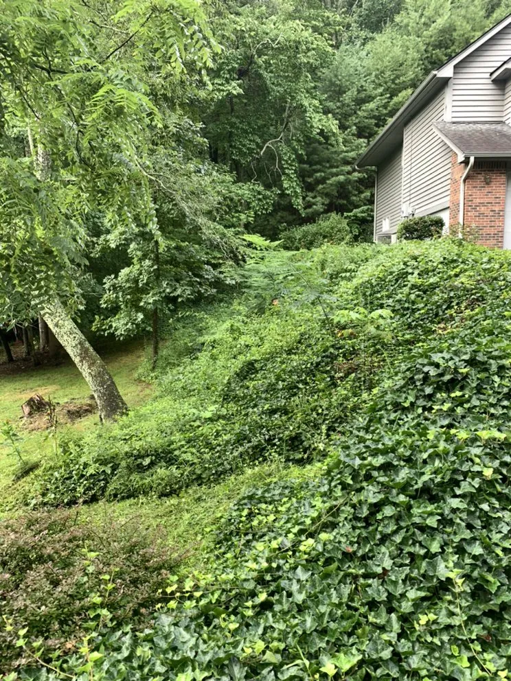 Reliable landscape design in Blythewood, SC - Backyard Landscapes