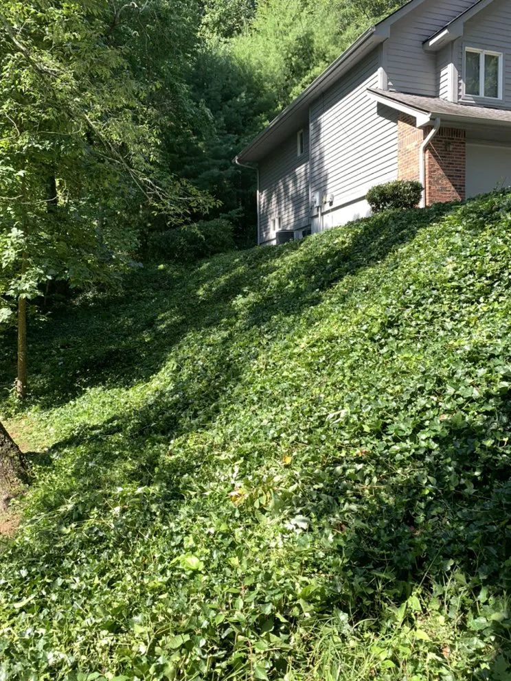 Custom landscape design for homes across Blythewood, SC - Backyard Landscapes