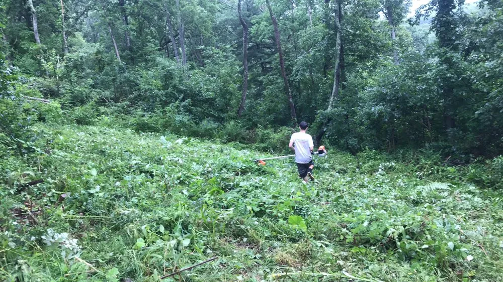 Expert landscape installation in Blythewood, SC by Backyard Landscapes