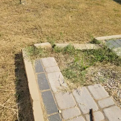 BackYard Landscaping