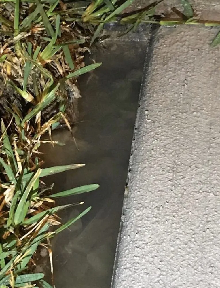 Top-rated yard cleanup service in Cypress, TX - Backyard Luxuries