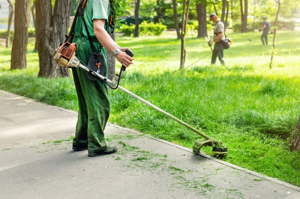 Professional yard maintenance for outdoor upgrades in Griffin, GA by Backyard Management