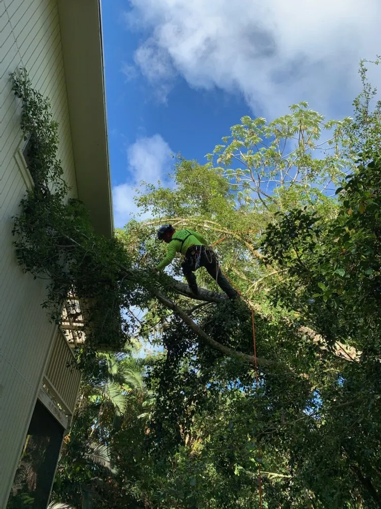 Trusted landscaping services for outdoor upgrades across Mountain View, HI - Backyard Monkey