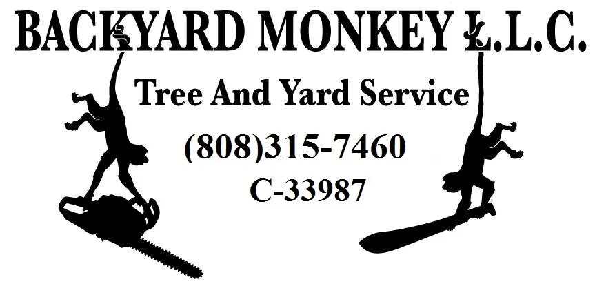 Custom lawn mowing service in Mountain View, HI - Backyard Monkey