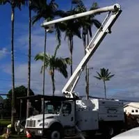Expert yard maintenance in Mountain View, HI - Backyard Monkey