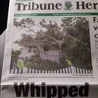 Expert outdoor landscaping in Mountain View, HI - Backyard Monkey