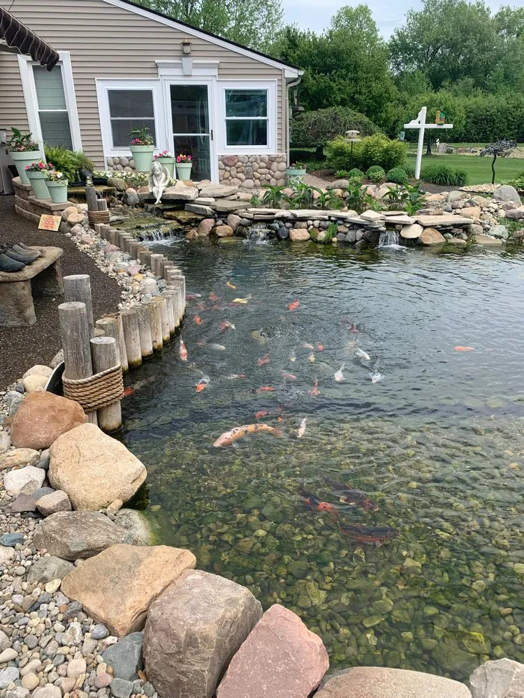 Top-rated yard cleanup service in Flint, MI by Backyard Oasis Pond & Garden Center