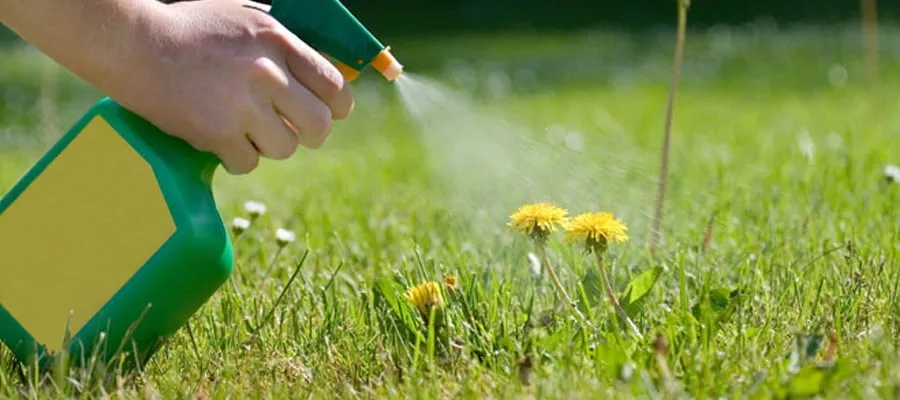Trusted lawn care service in Oshkosh, WI - Backyard Organics