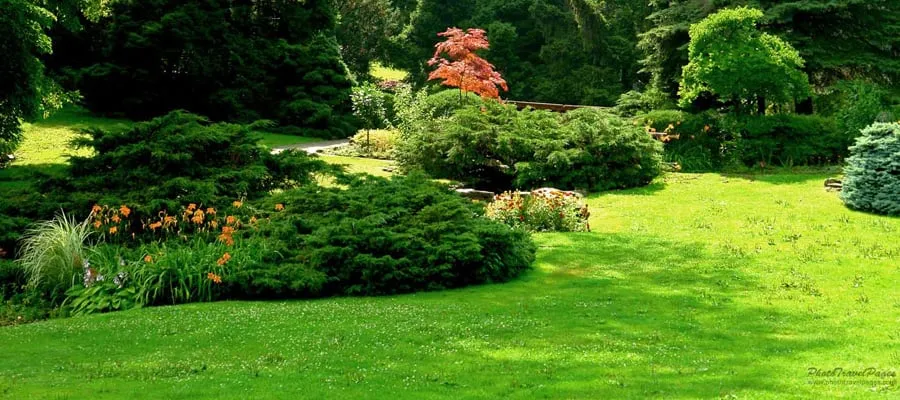 Affordable landscape design for homes across Oshkosh, WI - Backyard Organics