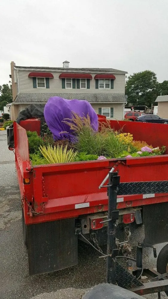 Reliable yard cleanup service in Wilmington, DE - Backyard Paradise Landscaping & Ponds