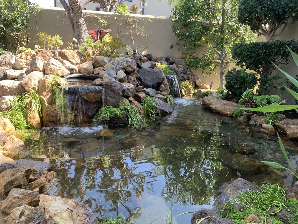 Custom lawn care service in Newport Beach, CA - Backyard Pond Service