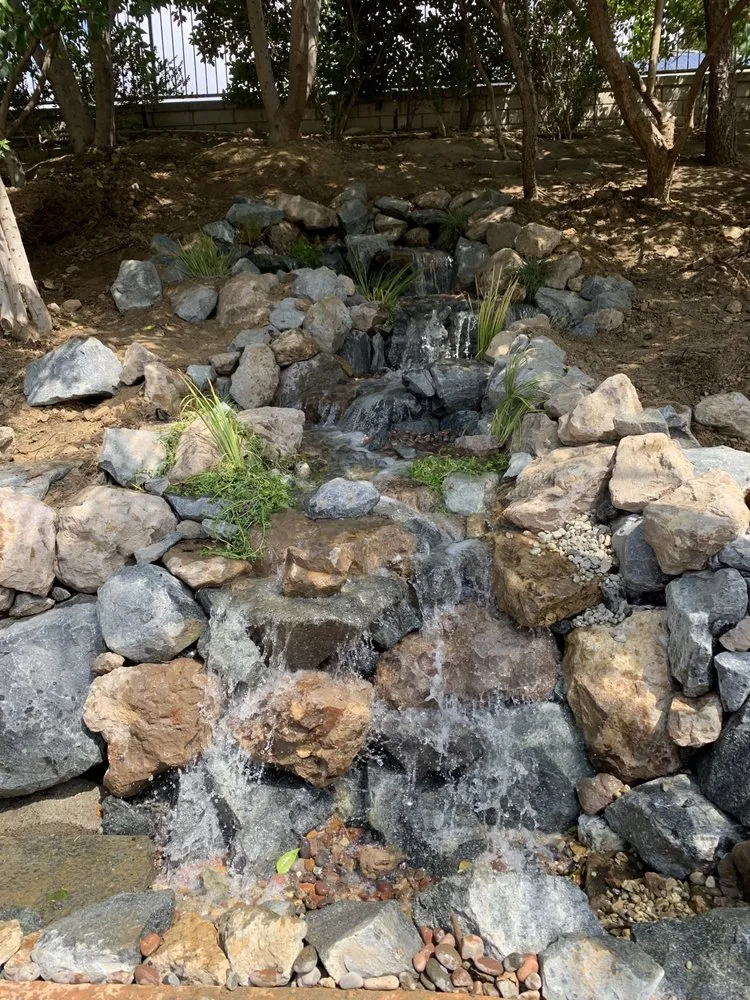 Local yard cleanup service in Newport Beach, CA - Backyard Pond Service