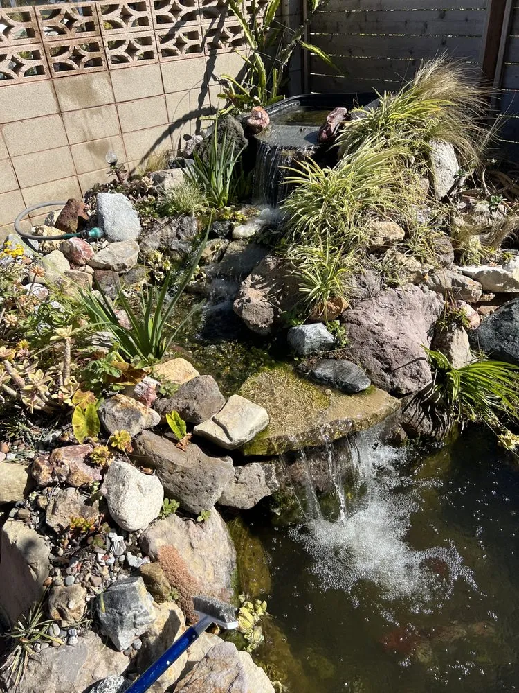 Professional lawn care service for year-round maintenance across Newport Beach, CA - Backyard Pond Service