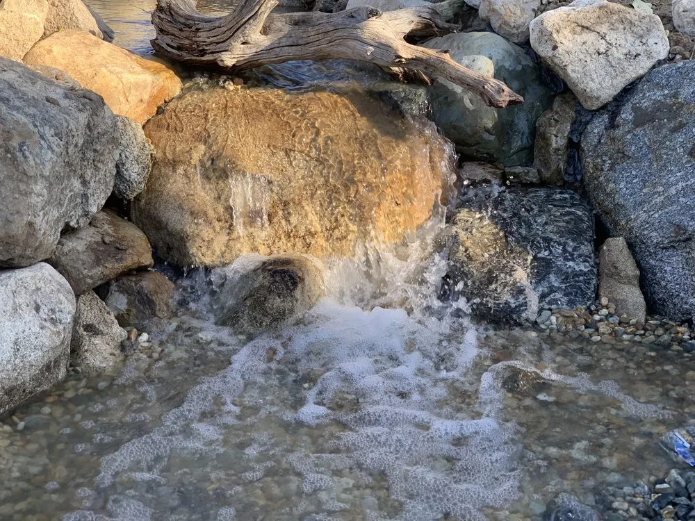 Affordable landscape design in Newport Beach, CA - Backyard Pond Service