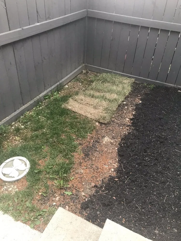 Reliable landscape installation in Grove City, OH by Backyard Ponds & Patios