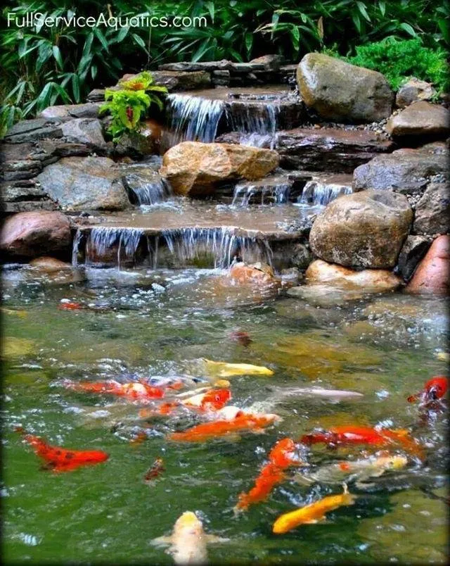 Expert landscape installation for homes in Grove City, OH by Backyard Ponds & Patios