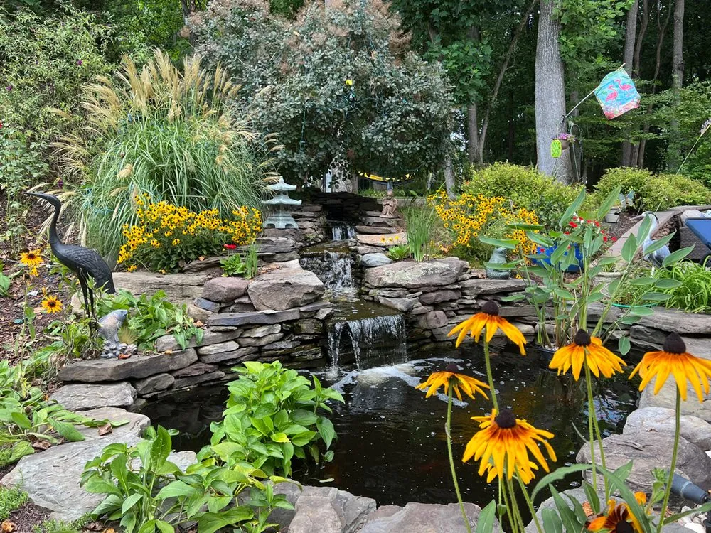 Reliable landscape design experts serving Rockville, MD - Backyard Ponds