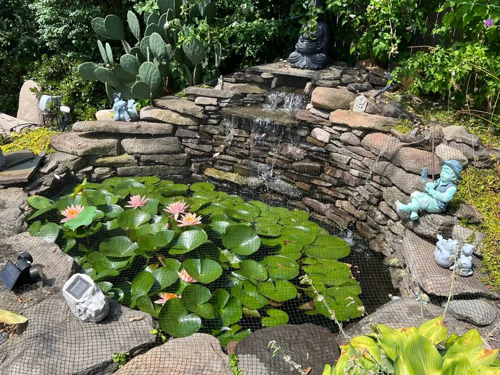 Professional residential landscaping for outdoor upgrades in Rockville, MD by Backyard Ponds