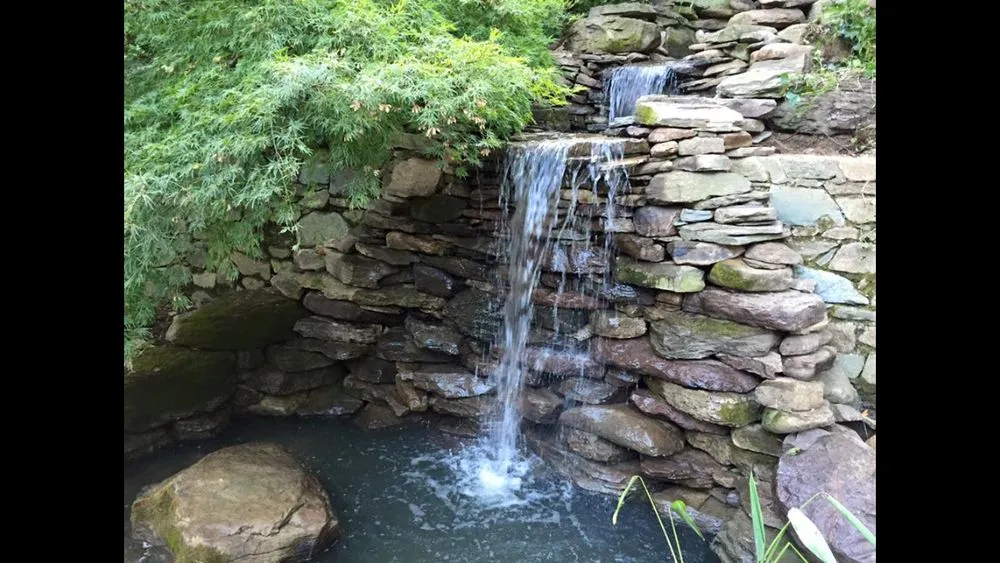 Reliable lawn mowing service in Rockville, MD by Backyard Ponds