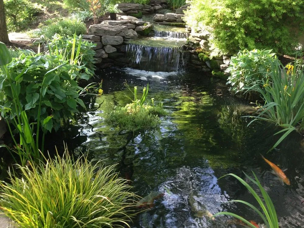 Expert lawn mowing service experts serving Rockville, MD - Backyard Ponds