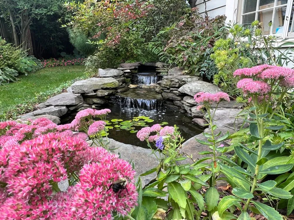 Top-rated lawn care service experts serving Rockville, MD - Backyard Ponds