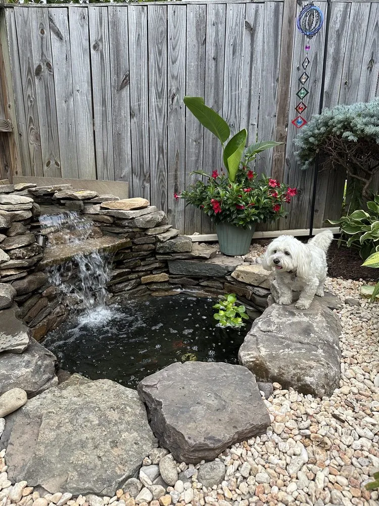 Affordable lawn care service with custom design in Rockville, MD by Backyard Ponds