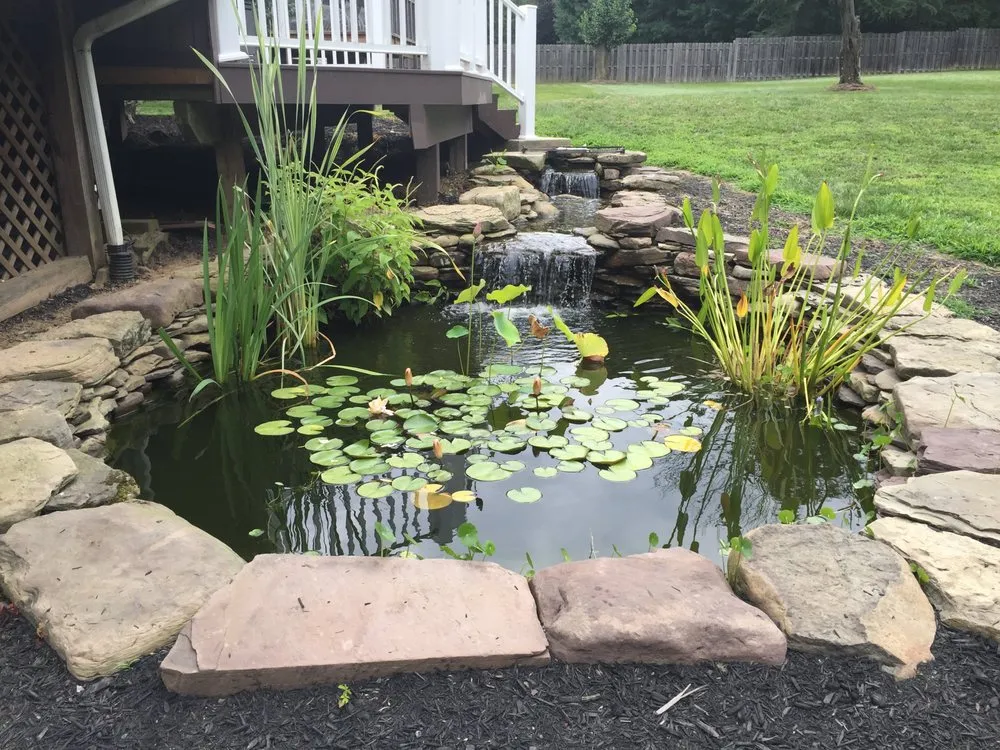 Custom outdoor landscaping in Rockville, MD - Backyard Ponds