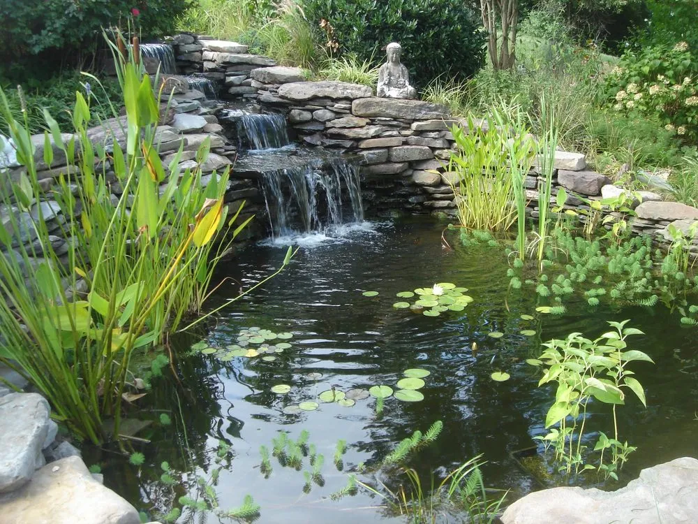 Custom landscape installation for year-round maintenance in Rockville, MD by Backyard Ponds