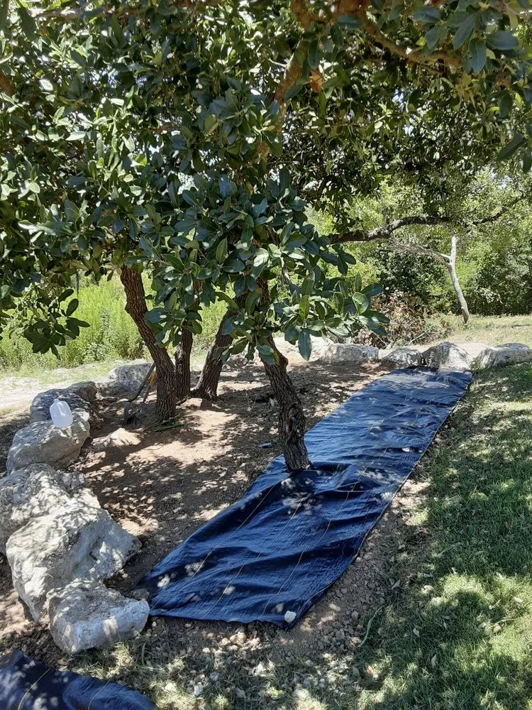 Expert lawn mowing service for year-round maintenance in San Antonio, TX by Backyard Siteworks