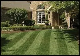 Backyards Lawn and Landscape Logo