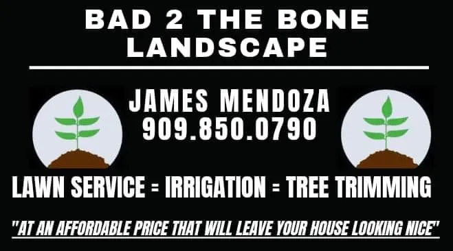 Local lawn mowing service for year-round maintenance across San Bernardino, CA - Bad 2 The Bone Landscape