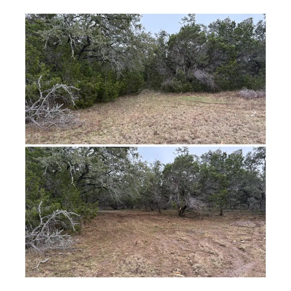 Top-rated outdoor landscaping with custom design across Bulverde, TX - Bad Axe Landscaping