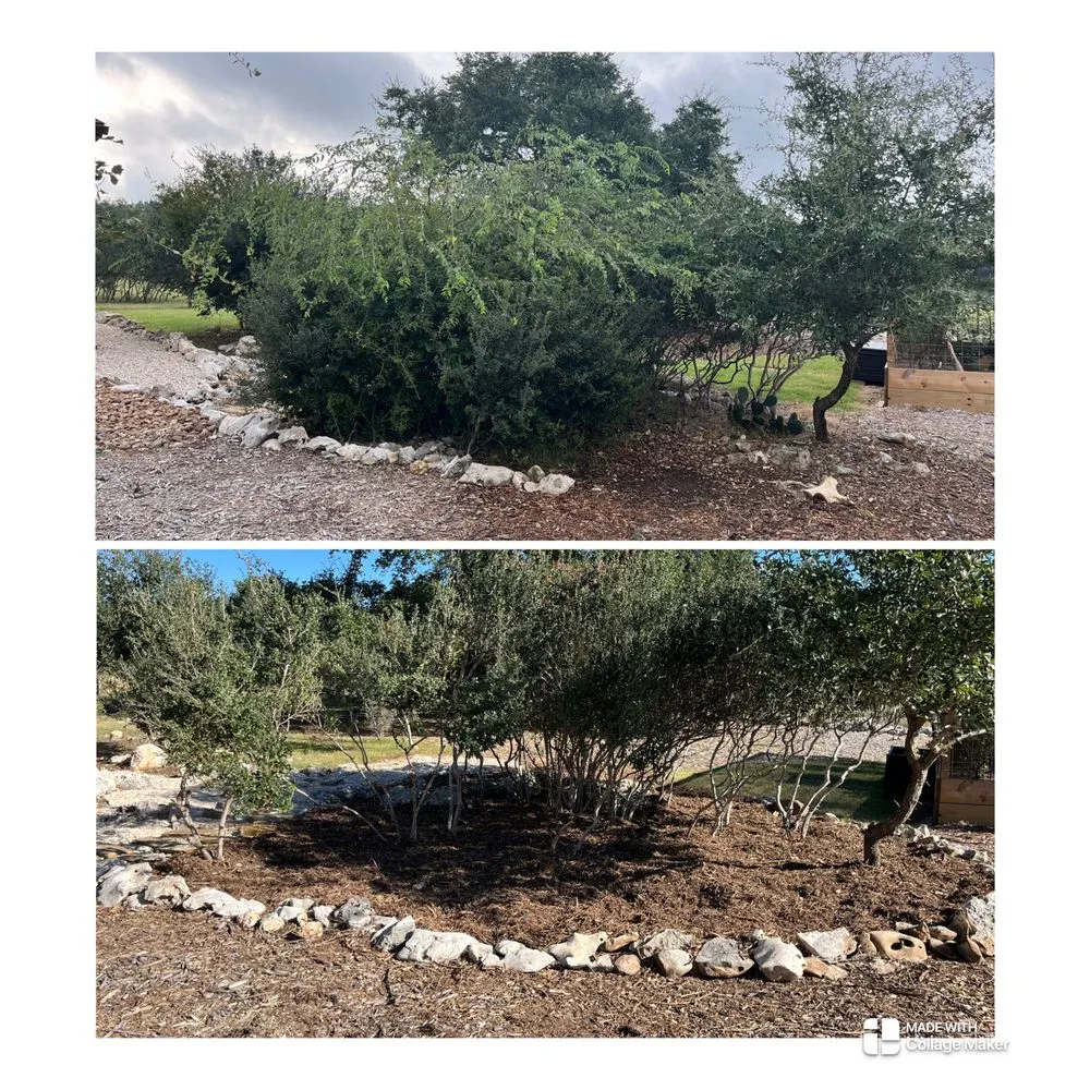 Custom yard maintenance in Bulverde, TX by Bad Axe Landscaping