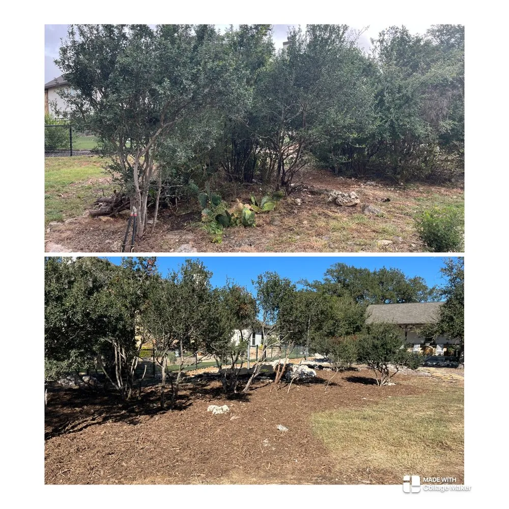 Custom lawn care service in Bulverde, TX - Bad Axe Landscaping