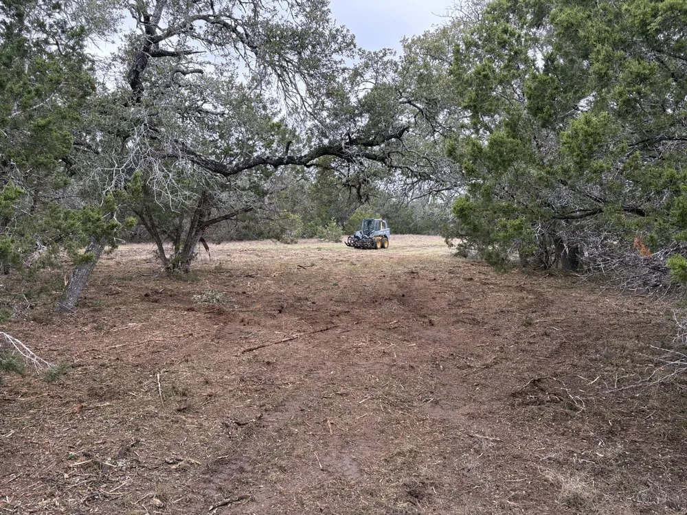 Local landscaping services in Bulverde, TX - Bad Axe Landscaping