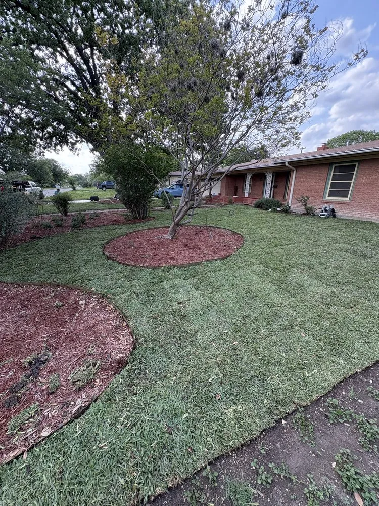 Top-rated lawn mowing service experts serving Bulverde, TX - Bad Axe Landscaping