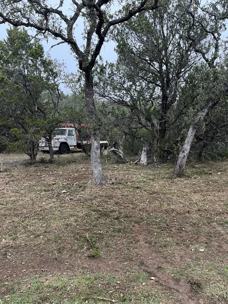 Affordable lawn care service in Bulverde, TX by Bad Axe Landscaping