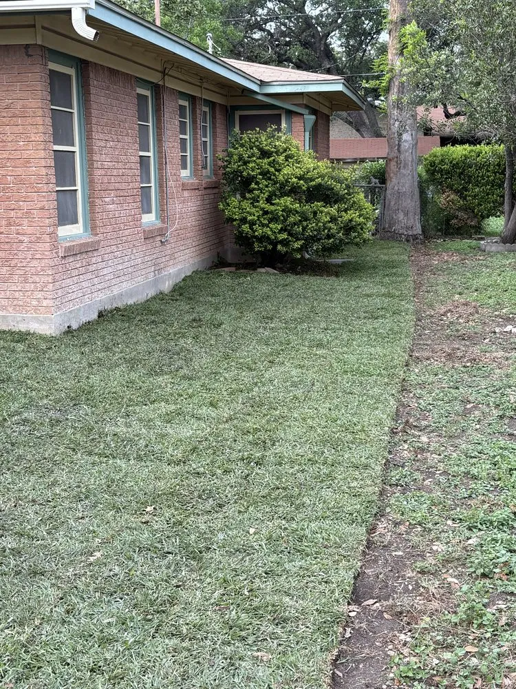 Professional landscape installation experts serving Bulverde, TX - Bad Axe Landscaping