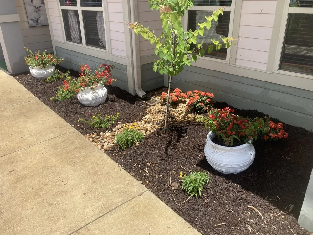 Affordable outdoor landscaping in Bulverde, TX - Bad Axe Landscaping