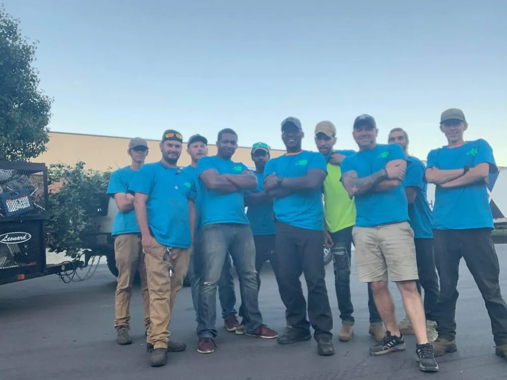 Trusted yard cleanup service experts serving Sanford, NC - Bad Boy Landscaping