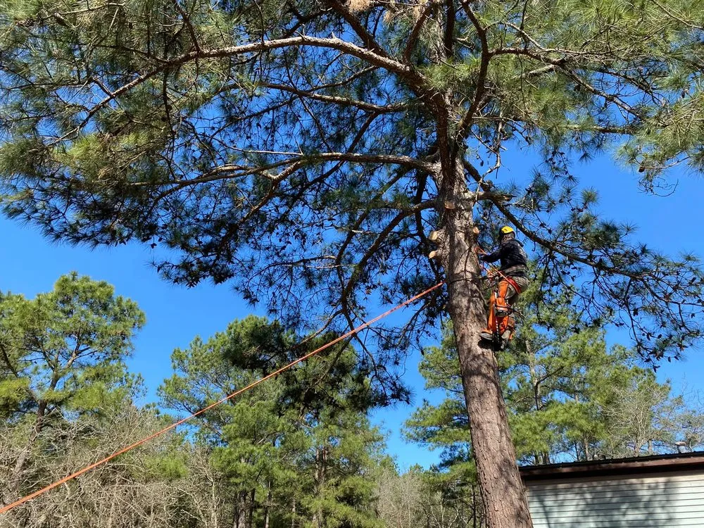 Reliable yard maintenance in Sanford, NC - Bad Boy Landscaping