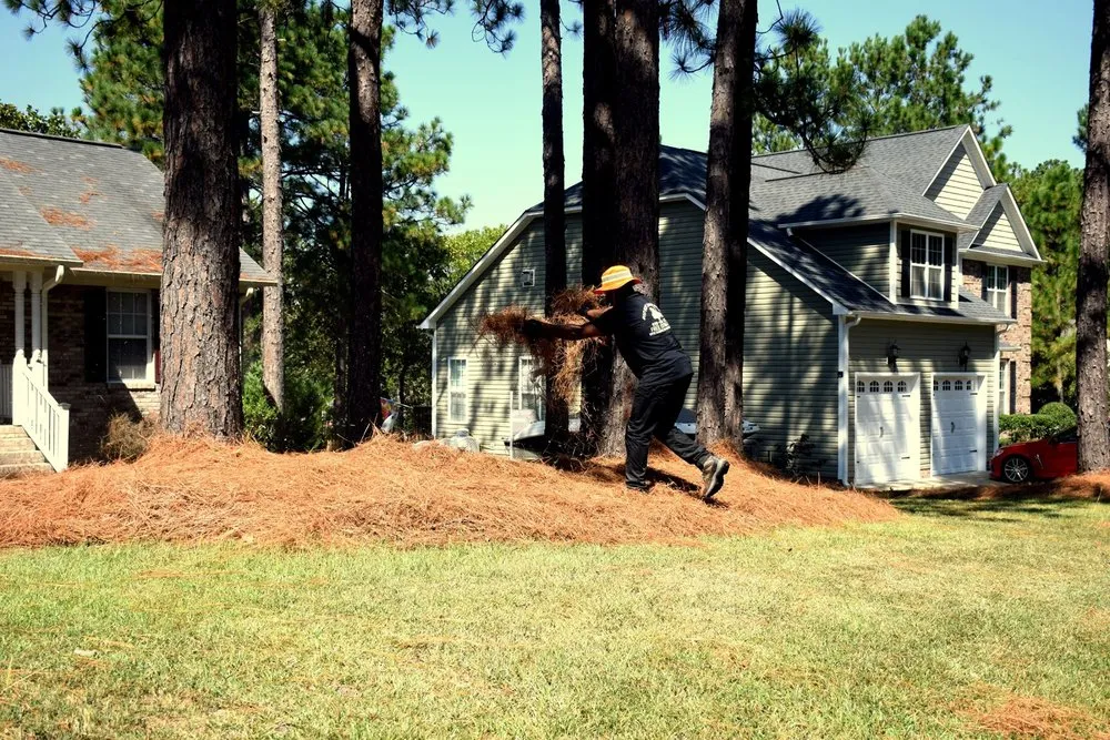 Reliable residential landscaping in Sanford, NC - Bad Boy Landscaping