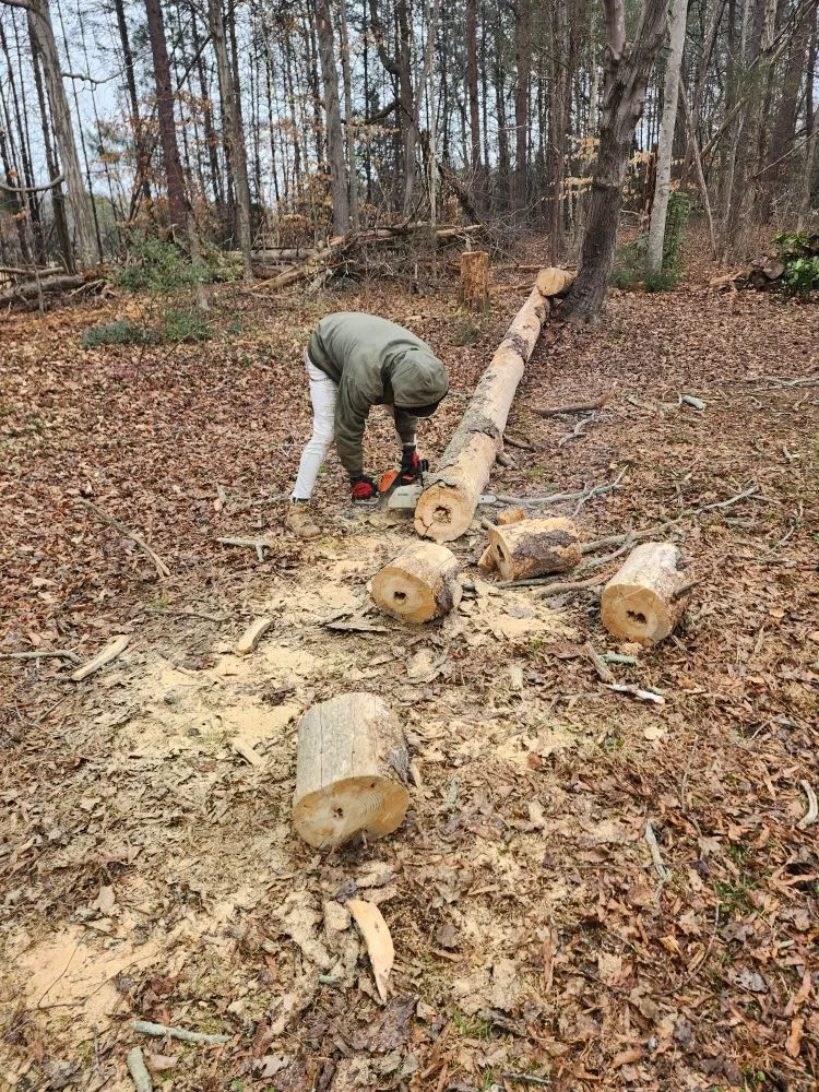 Reliable residential landscaping in Burlington, NC by Bad Boy Lawn Care