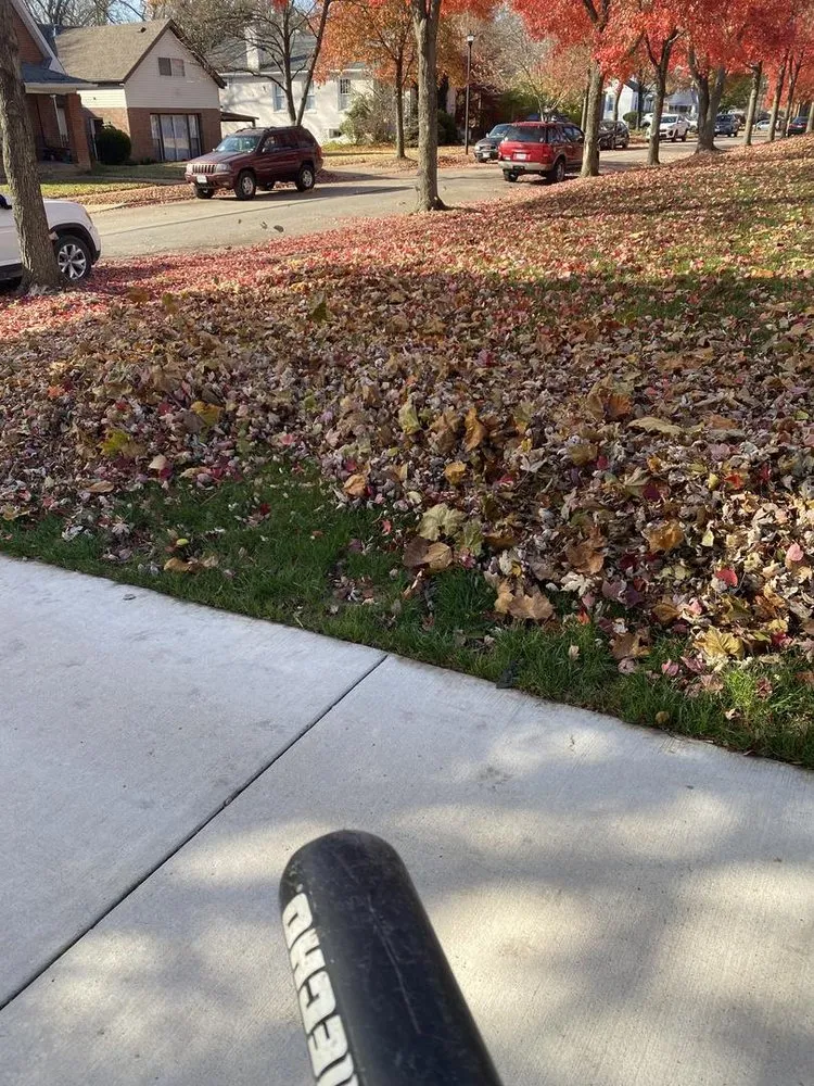 Reliable yard maintenance experts serving St. Louis, MO - Bad Boys Lawn and Landscaping