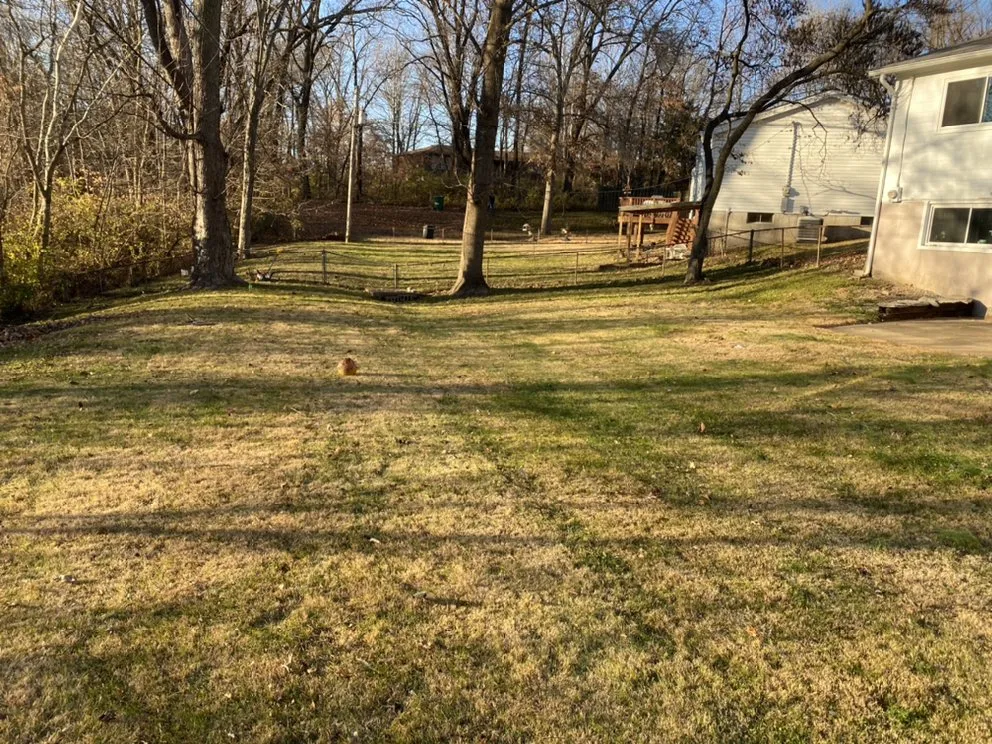 Expert lawn mowing service for outdoor upgrades across St. Louis, MO - Bad Boys Lawn and Landscaping