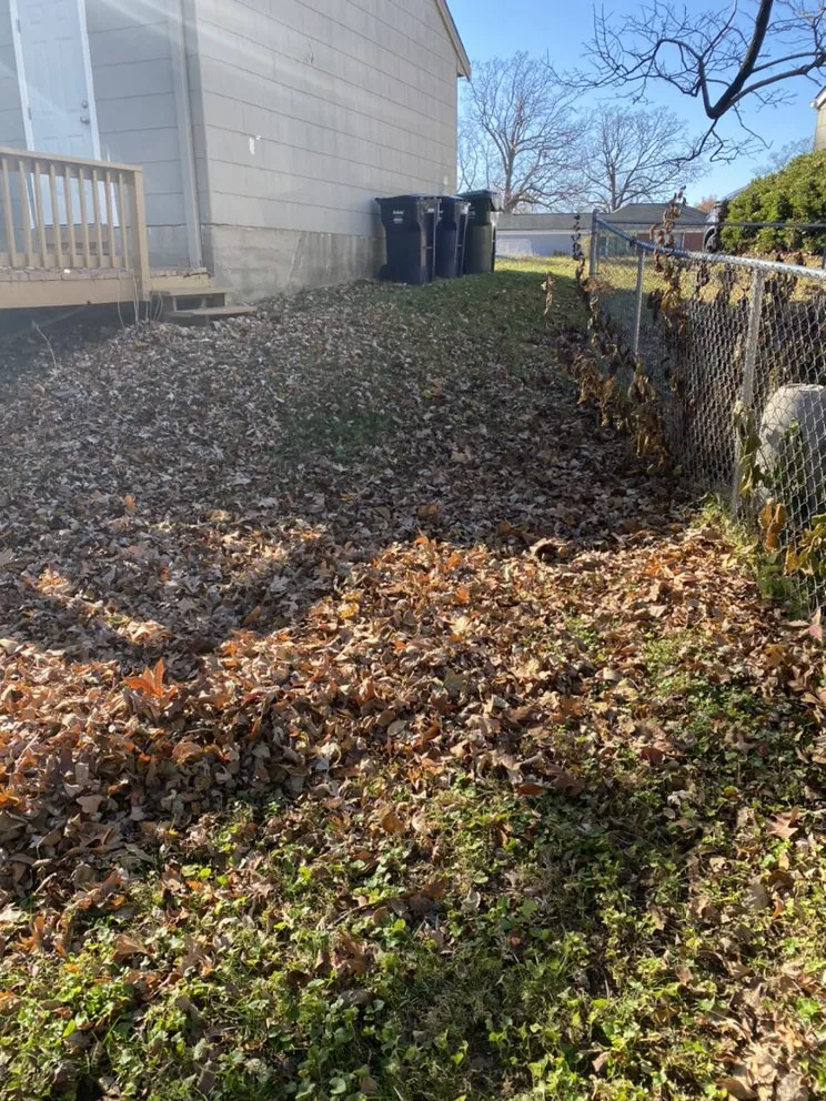 Expert lawn mowing service near you in St. Louis, MO by Bad Boys Lawn and Landscaping