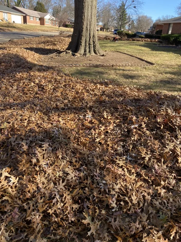 Top-rated residential landscaping for beautiful yards across St. Louis, MO - Bad Boys Lawn and Landscaping