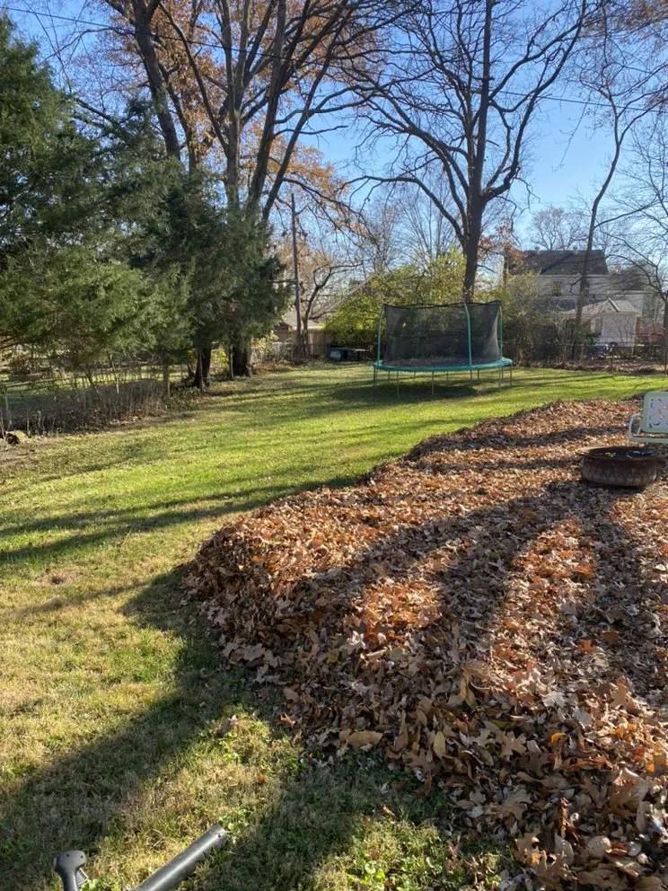 Reliable garden landscaping for homes in St. Louis, MO by Bad Boys Lawn and Landscaping