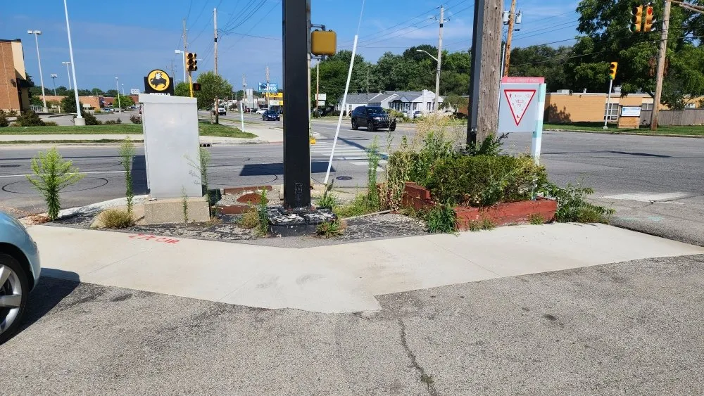 Professional yard cleanup service experts serving Indianapolis, IN - Bad Boyz Lawn Maintenance